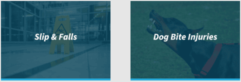 Slip & Fall, Dog Bite Injury